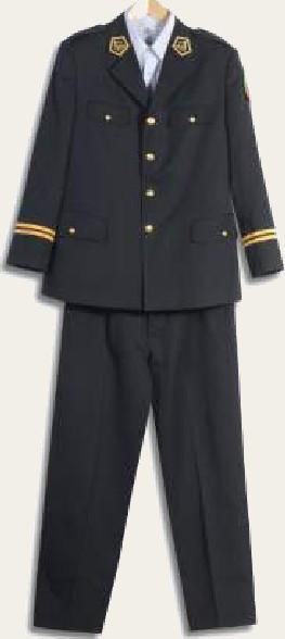 Ceremonial and Service Dress, view 2