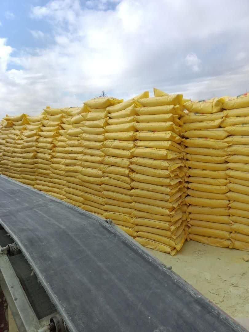 Bagged agricultural product stacked in tiers beside a loading conveyor